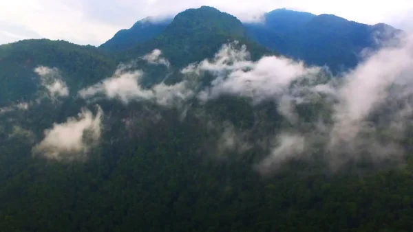 Turismo en el Parque Nacional Pico Bonito