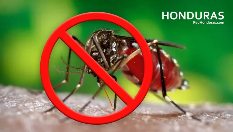 Prevenir es la mejor forma de combatir el dengue, el chikunguña y el zika