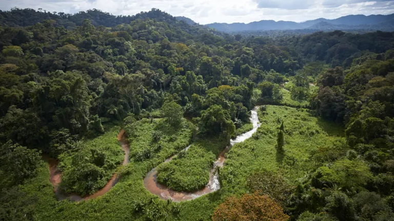 Reserva de la Biosfera de Río Plátano